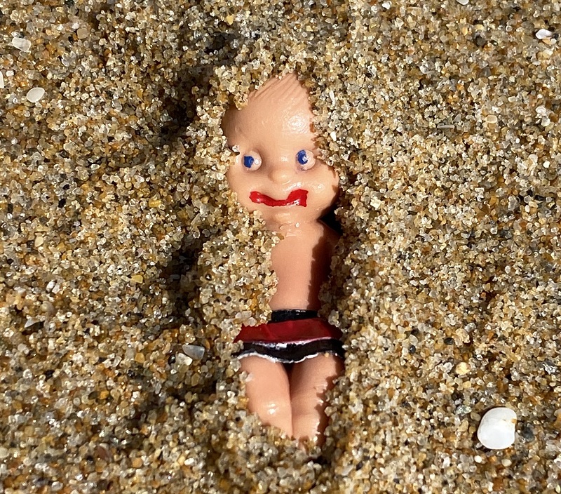 Brutus Baby and the Seashells 24